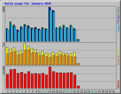 Daily usage for January 2020