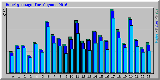 Hourly usage for August 2016