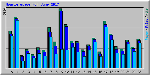 Hourly usage for June 2017