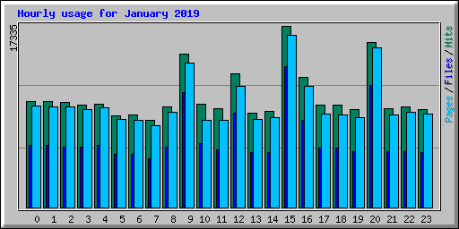 Hourly usage for January 2019