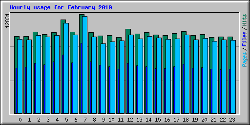 Hourly usage for February 2019