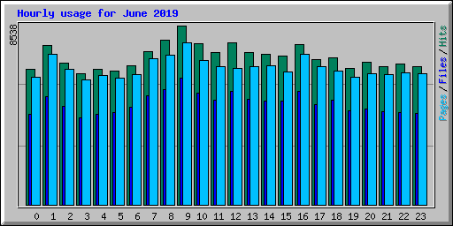 Hourly usage for June 2019