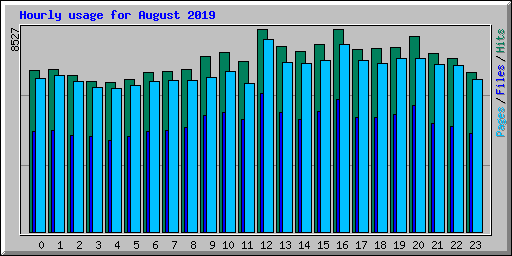 Hourly usage for August 2019