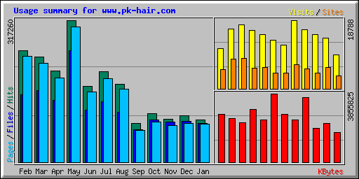 Usage summary for www.pk-hair.com